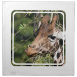 Giraffe Images  Set of Four Napkins