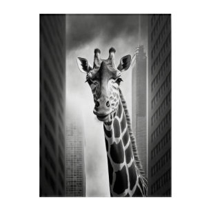 Giraffe in a Cityscape Acrylic Print
