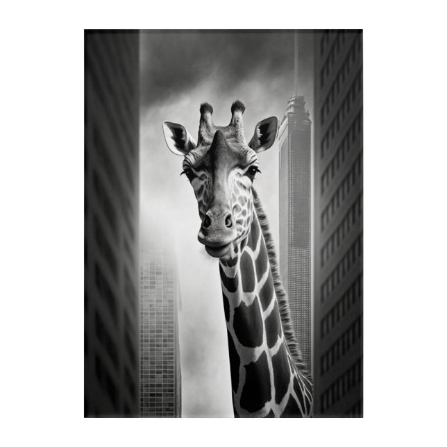 Giraffe in a Cityscape Acrylic Print (Front)