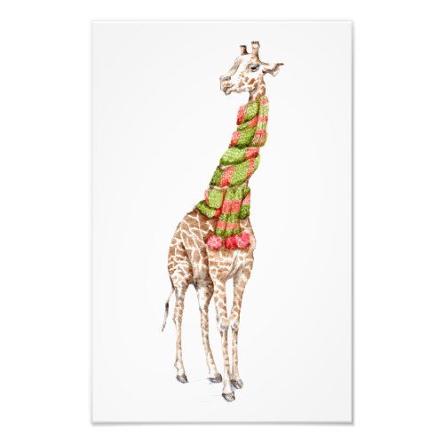 Giraffe in a Scarf Photo Print