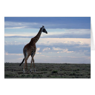 giraffe in maasai mara cards