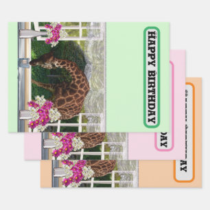 Giraffe In My Window, Birthday Wrapping Paper Sheets