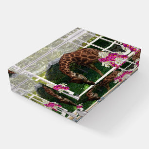 Giraffe In My Window, Paperweight