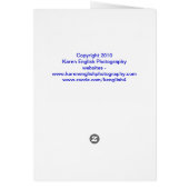 Giraffe in natural habitat (Back)