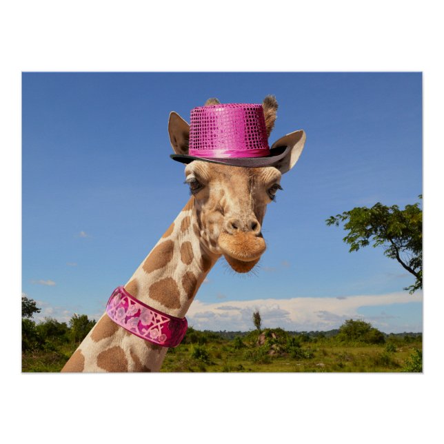 Giraffe in sparkly pink hat poster (Front)