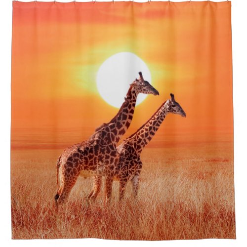 Giraffe in the African savanna against the backdro Shower Curtain