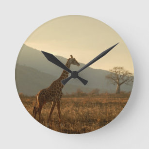 Giraffe in the Savannah Round Clock