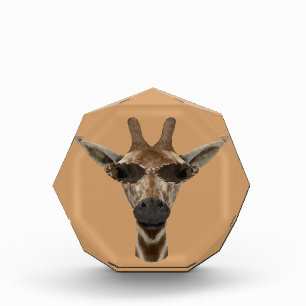 Giraffe Incognito Acrylic Award