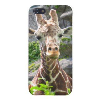 Giraffe Cover For iPhone SE/5/5s