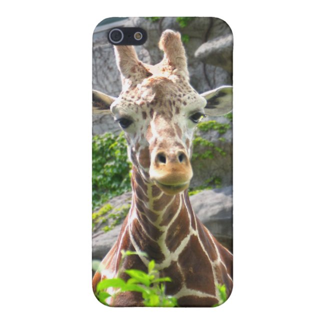 Giraffe iPhone Case (Back)