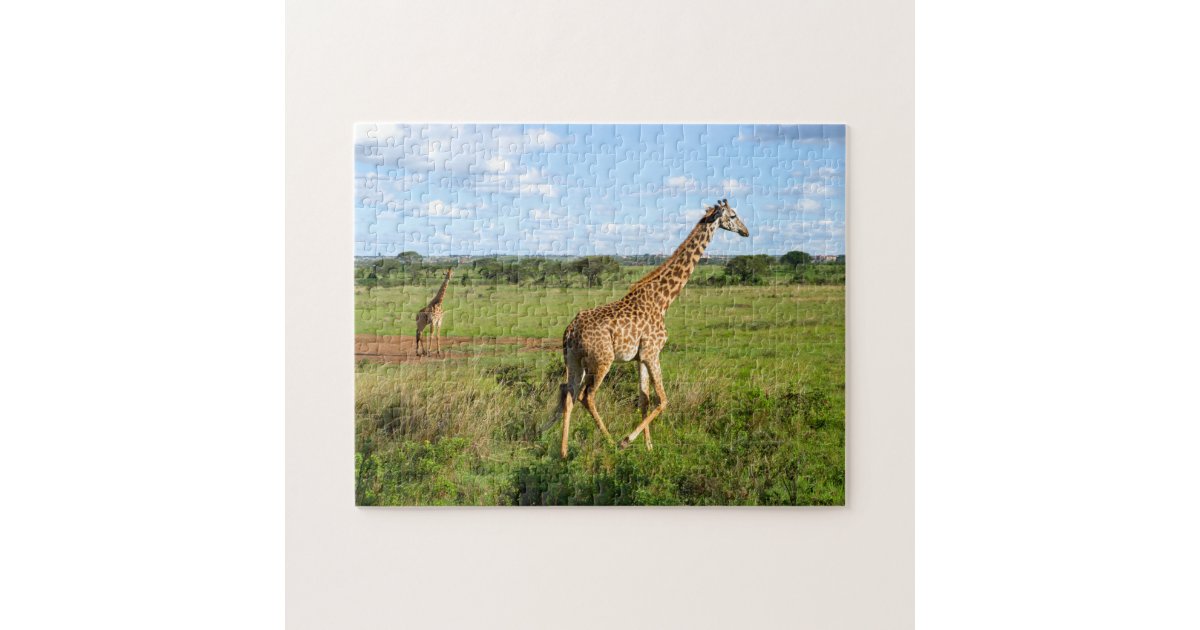 Giraffe jigsaw puzzle | Zazzle.com