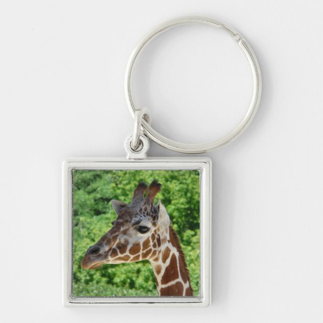 giraffe keychain (Front)