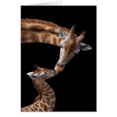 Giraffe Kisses Card (Front)