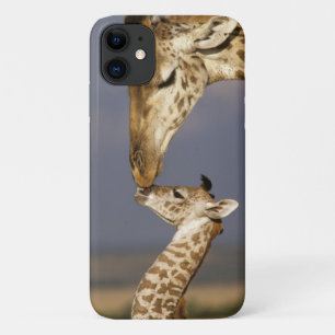 Giraffe Kissing Baby Giraffe iPhone 11 Case