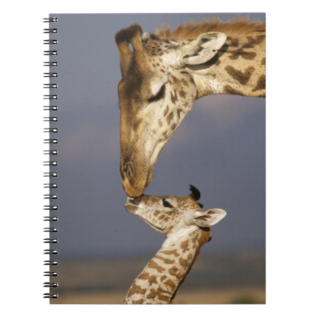 Giraffe Kissing Baby Giraffe Notebook (Front)