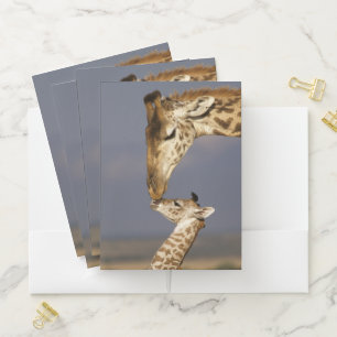 Giraffe Kissing Baby Giraffe Pocket Folder