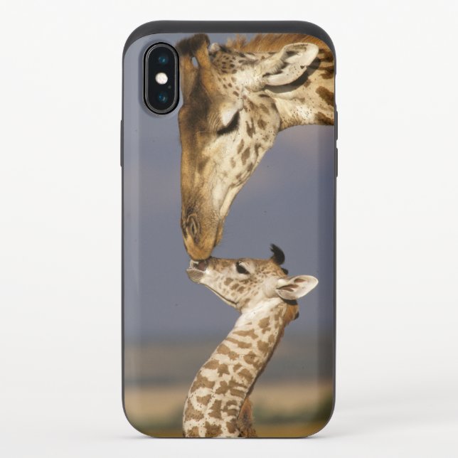 Giraffe Kissing Baby Giraffe Uncommon iPhone Case (Back)