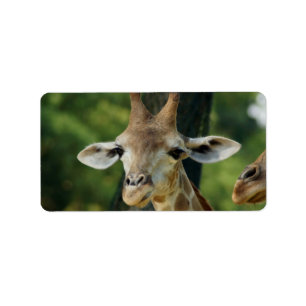 Giraffe Label