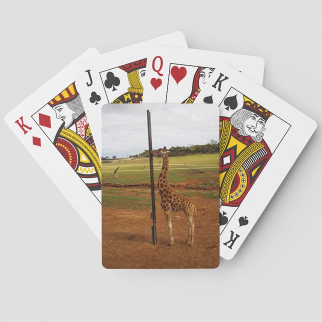 Giraffe Licking His Pole, Poker Cards (Back)