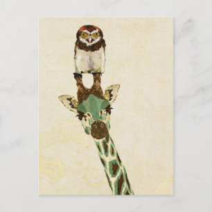 GIRAFFE & LITTLE OWL Postcard