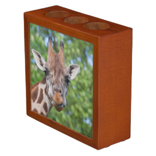Giraffe Looking At You Pencil/Pen Holder