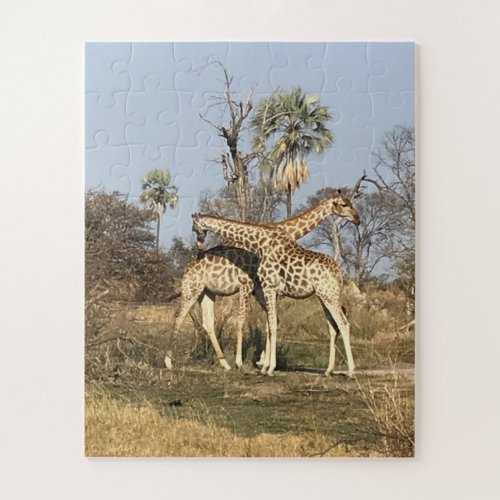 Giraffe Love  in Action Tanzania Jigsaw Puzzle