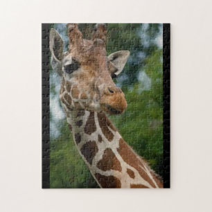 Giraffe Love Jigsaw Puzzle