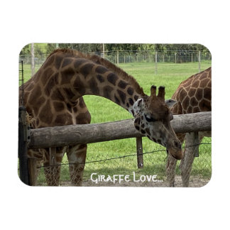 Giraffe Love... Magnet