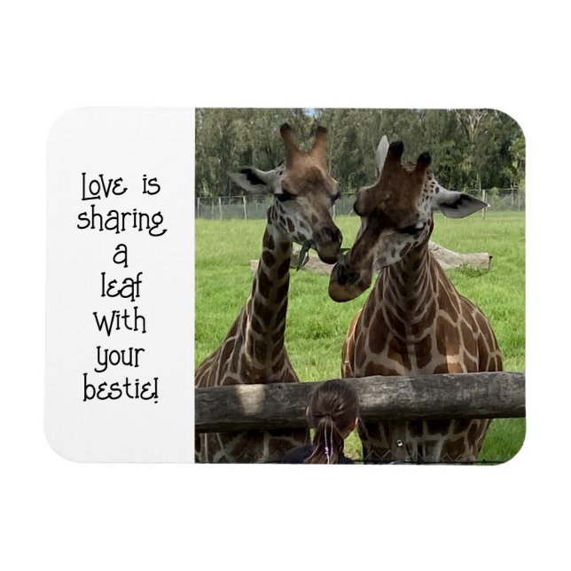 Giraffe Love... Magnet (Horizontal)