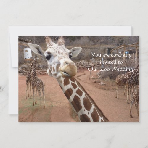 Giraffe love Wedding Invitations