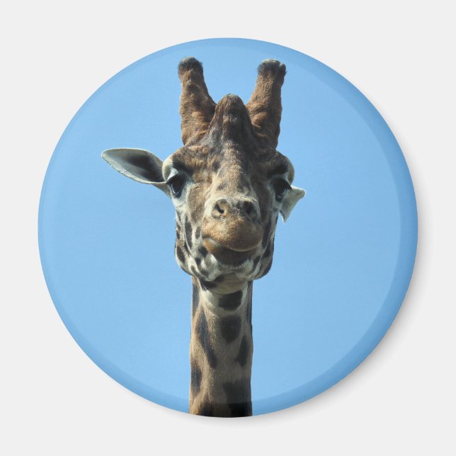 GIRAFFE MAGNET (Front)