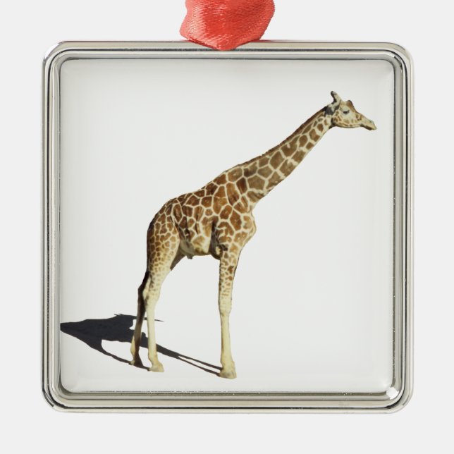 Giraffe Metal Ornament (Front)