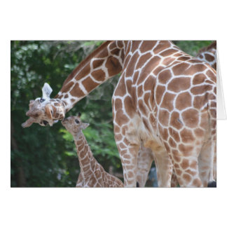 Giraffe Mom and Baby Cards