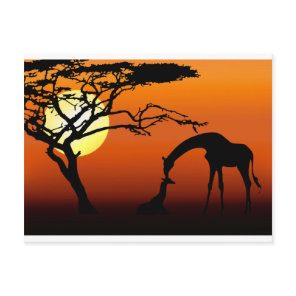 Giraffe Mother and Baby in African Sunset Postcard