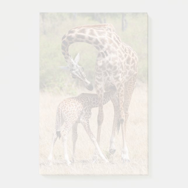 Giraffe Mother and Baby in Kenya Post-it Notes (Front)