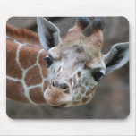Giraffe  Mouse Pad