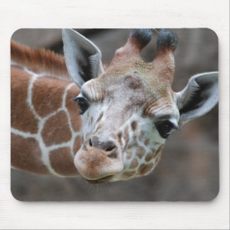 Giraffe  Mouse Pad