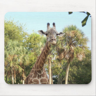 Giraffe Mouse Pad