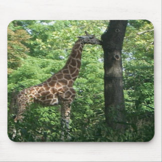 giraffe mousepad