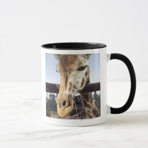 Giraffe Mug