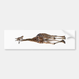 Giraffe Named Tip Top Bumper Sticker..! Sticker
