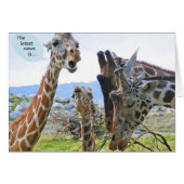 Giraffe News Card (Front Horizontal)