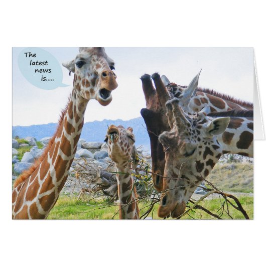 Giraffe News Card (Front Horizontal)