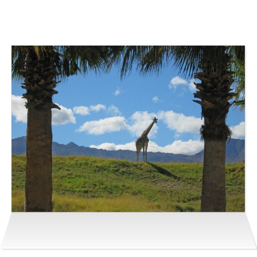 Giraffe News Card (Inside Horizontal (Top))