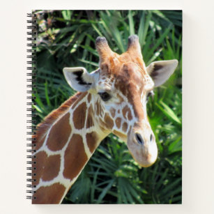 Giraffe Notebook  - 8.5 x 11, 8.5 x 8.5, or Heart