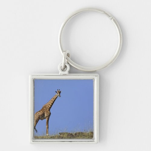 Giraffe on ridge against blue sky Giraffa Keychain