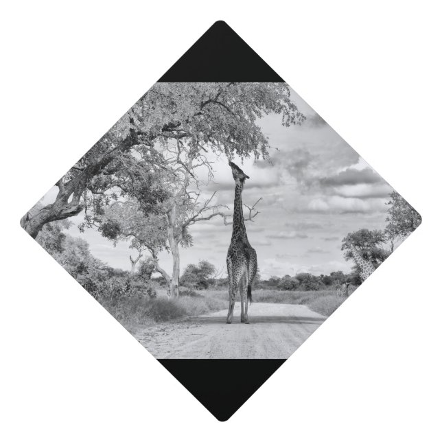 Giraffe on the road graduation cap topper (Front)