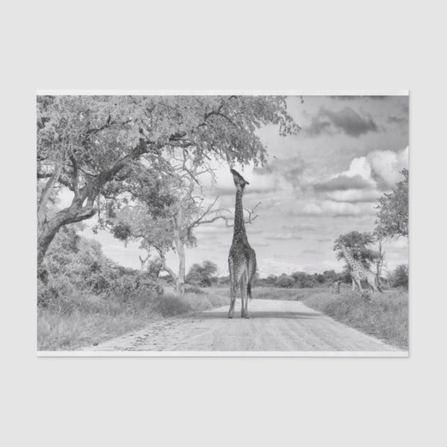 Giraffe on the road tissue paper (Front)