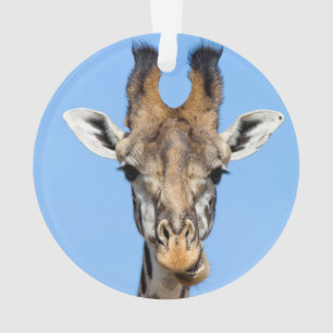 Giraffe Ornament