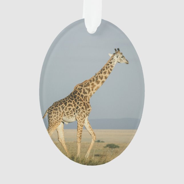 Giraffe Ornament (Back)